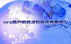 nra賬戶的優(yōu)點(diǎn)和缺點(diǎn)有哪些？