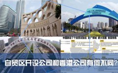 在國內(nèi)的自貿(mào)區(qū)開設(shè)公司和注冊香港公司有何不同？